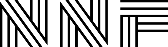 Ngozi Nwaneri Foundation